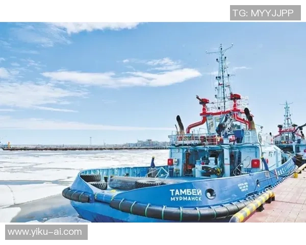 亚马尔地区的能源开发与国际合作前景分析 亚马尔地区的能源开发与国际合作前景分析