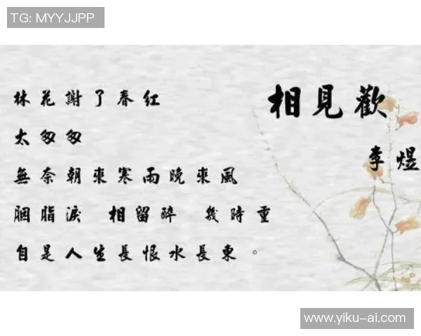 景菡一的成长之路:从平凡到卓越的心灵旅程与人生启示 景菡一的成长之路:从平凡到卓越的心灵旅程与人生启示