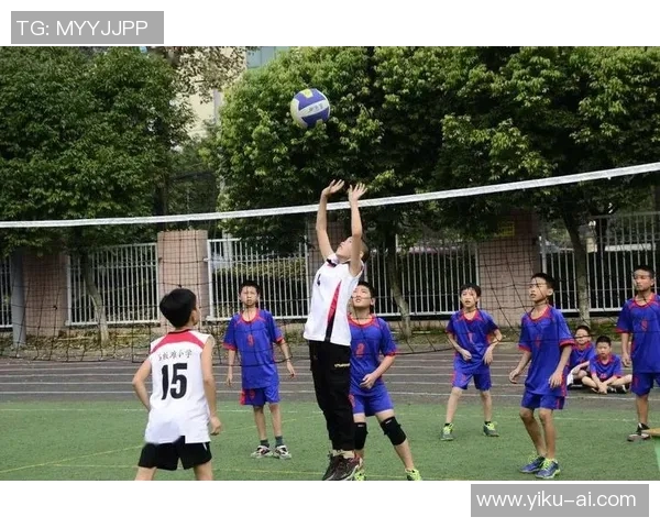 成都排球队心理素质排名第一最新排球心理素质TOP10揭晓